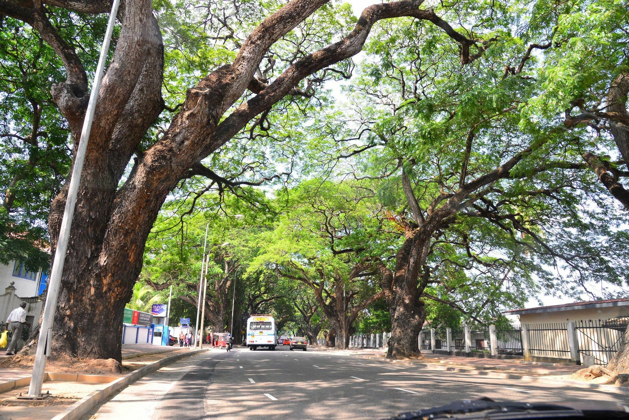 Colombo Villa Villa