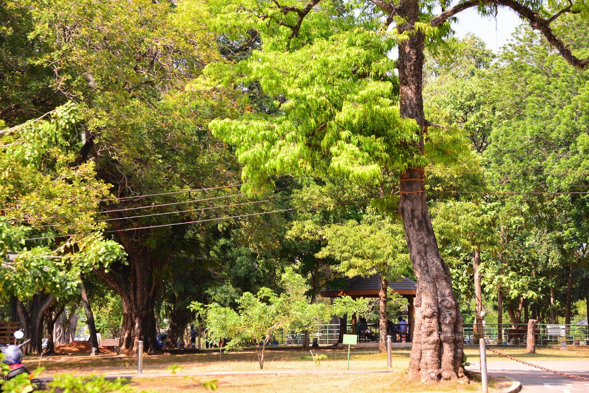 Colombo Villa Villa Colombo